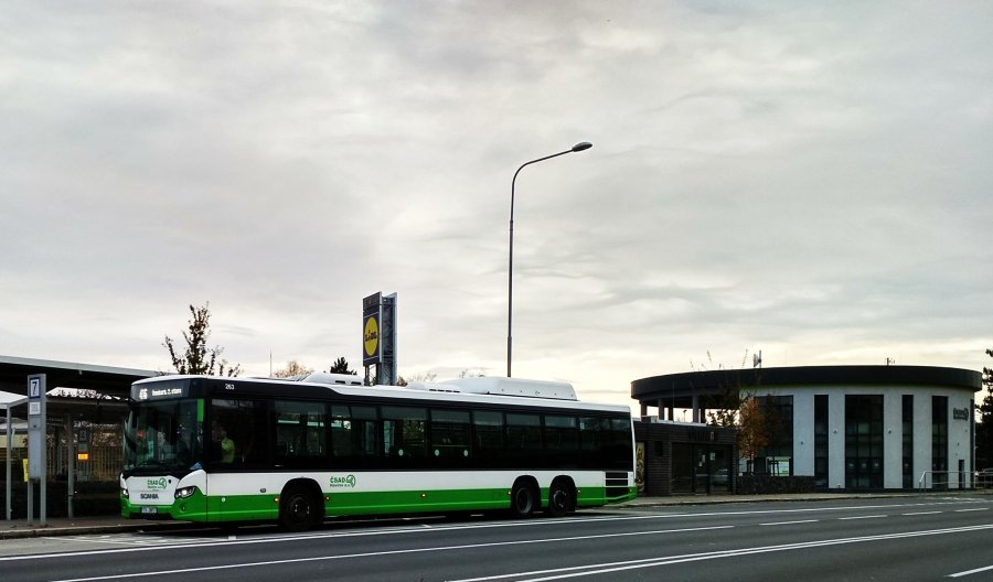 263